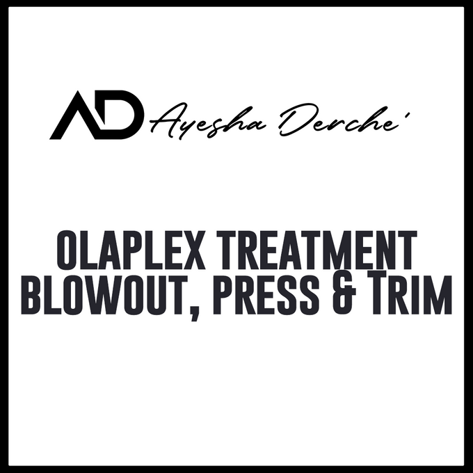 Olaplex Treatment Blowout, Press & Trim